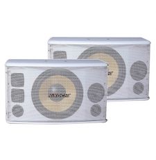 Loa Treo Nikochi NK- 210WB