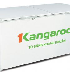 Tủ đông kháng khuẩn Kangaroo (1000 lít) KG1009C1