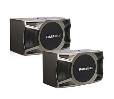 LOA KARAOKE PARAMAX D1000