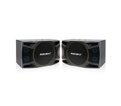 LOA KARAOKE PARAMAX P1000 