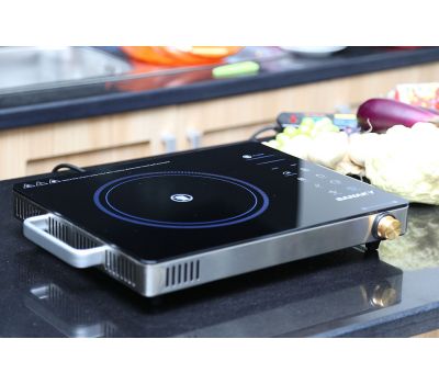 Bếp hồng ngoại Sanaky SNK-2524HGN