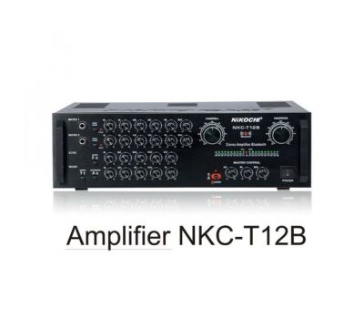 Ampli NIKOCHI NKC-T12B