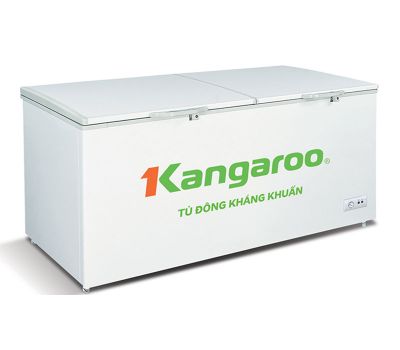 Tủ đông kháng khuẩn Kangaroo (1000 lít) KG1009C1